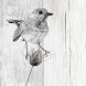 Decoratieve wand Element 3D Siberie Pluviers-1